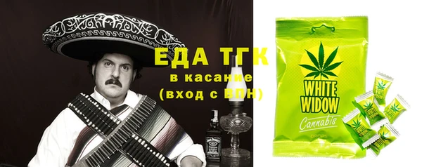 гидра Елизово