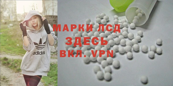 ГАЛЛЮЦИНОГЕННЫЕ ГРИБЫ Елабуга