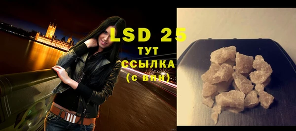гидра Елизово