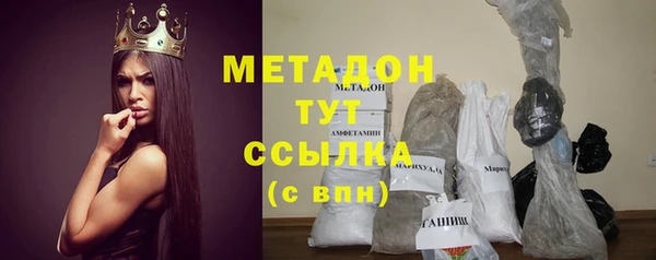 гидра Елизово