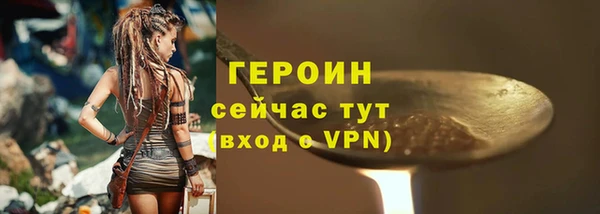 гидра Елизово