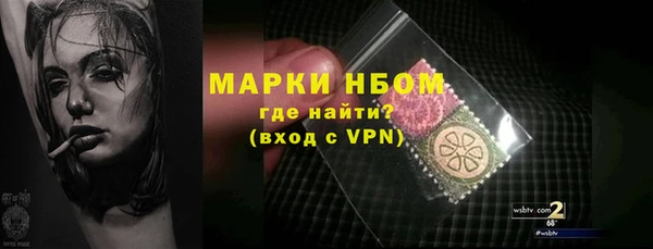 ГАЛЛЮЦИНОГЕННЫЕ ГРИБЫ Елабуга