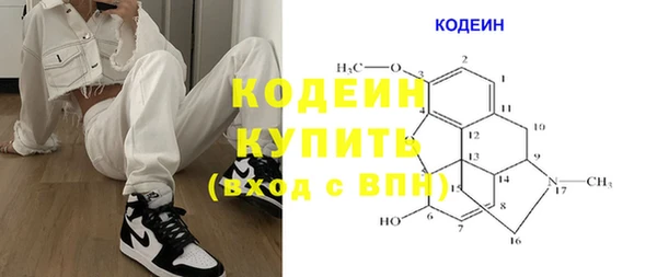 ГАЛЛЮЦИНОГЕННЫЕ ГРИБЫ Елабуга