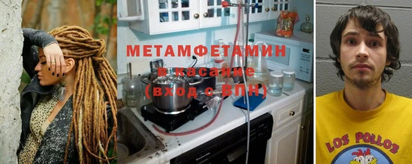 ГАЛЛЮЦИНОГЕННЫЕ ГРИБЫ Елабуга