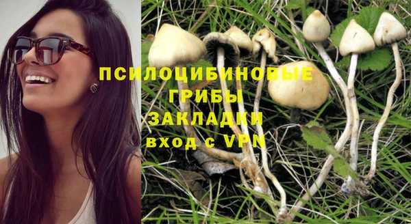 ГАЛЛЮЦИНОГЕННЫЕ ГРИБЫ Елабуга