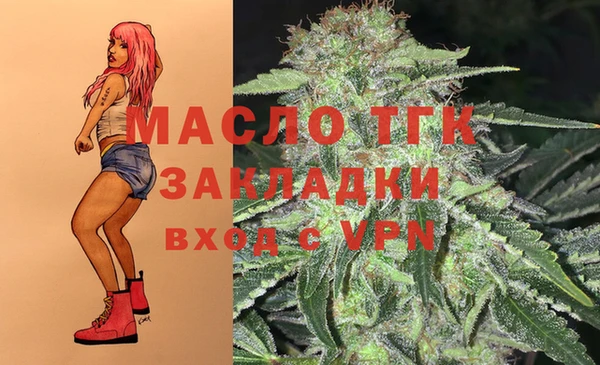 ГАЛЛЮЦИНОГЕННЫЕ ГРИБЫ Елабуга