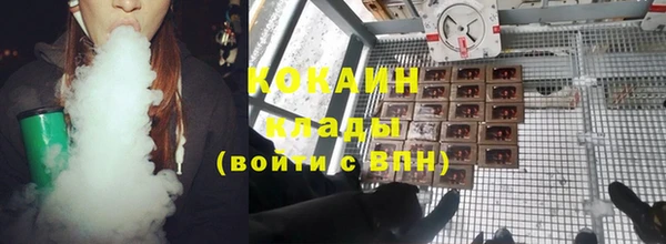ГАЛЛЮЦИНОГЕННЫЕ ГРИБЫ Елабуга