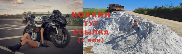 гидра Елизово